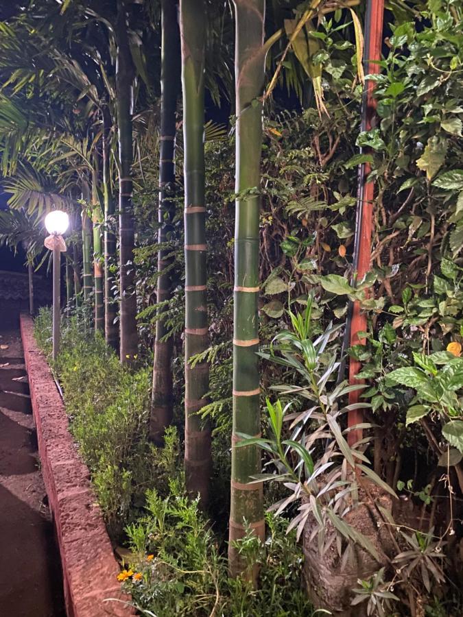 Homestay Aviraj Nivas *